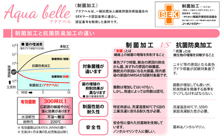 家庭用医療機器マグネフィット（電気磁気治療器）