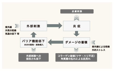 オサジ コンフォート マルチクリーム ポンプ＆チューブセット