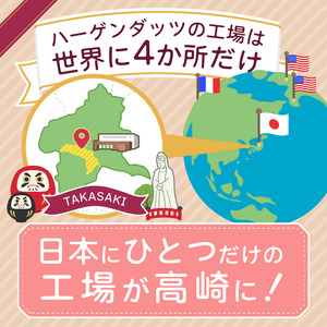 スタンダードセット/ハーゲンダッツ