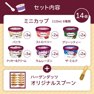 スタンダードセット/ハーゲンダッツ