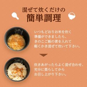 【2合用】森のきのこご飯の素8袋(4種×2)セット/炊き込みご飯の素/国産きのこ入り/贈答・ギフト【1211504】