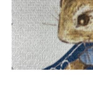 のれんピーターラビット 月までとどけ【1334259】