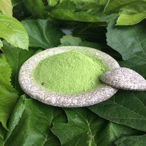 【ぐんまの桑茶】パウダータイプ・緑茶タイプ・ほうじ茶タイプ　ギフトセット【1346070】