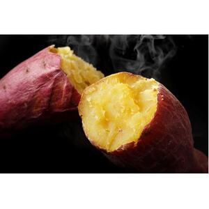 壺焼き芋(遠赤外線効果で時間をかけて焼く蜜芋　1.5kg)【配送不可地域：離島】【1380093】