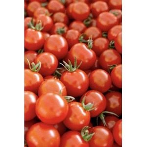 高糖度ミニトマト1kg【1652024】