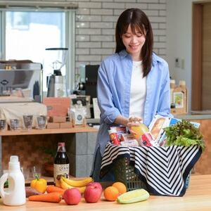 撥水風呂敷『ながれ』マリンボーダー(平織96cmサイズ)【1693555】