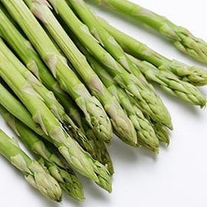 【2026年春発送】わかさ農園の朝採り春アスパラ　L～2L（2㎏）　グリーンアスパラ　朝採れ　農家直送　新鮮　甘い　春野菜　旬野菜　特産品　北海道産