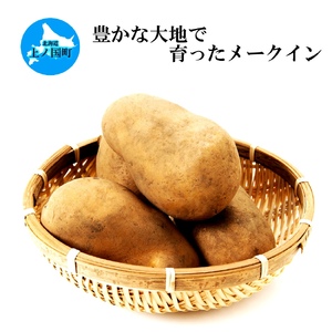 【2024年】北海道上ノ国町産 おいしい馬鈴薯「メークイン」 Mサイズ10㎏　じゃがいも　ジャガイモ　芋　ばれいしょ　バレイショ　野菜