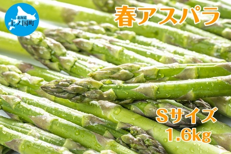 【2026年春発送】寅福菜園の朝採り春アスパラ S(1.6㎏) グリーンアスパラ 朝採れ 農家直送 新鮮 甘い 春野菜 旬野菜 特産品 北海道産