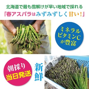 【2026年春発送】刀祢農園の朝採り春アスパラ　2L以上（800g）　グリーンアスパラ　朝採れ　農家直送　新鮮　甘い　春野菜　旬野菜　特産品　北海道産