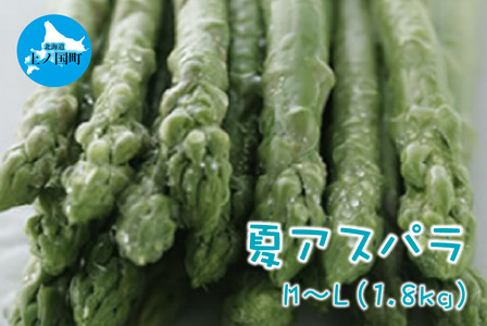 【2026年夏発送】刀祢農園の朝採り夏アスパラ　M～L（1.8㎏）　朝採れ　農家直送　新鮮　グリーンアスパラ　夏野菜　旬野菜　シャキシャキ　とれたて　北海道産