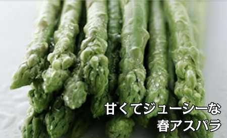 【2026年春夏発送】刀祢農園の朝採り春アスパラM～L（1.8㎏）と夏アスパラM～L（1.8㎏）の２回お届け