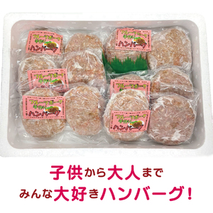 フルーツポークのハンバーグ（120g×12個）　豚肉　ぶたにく　ブタニク　人気　肉料理　ヨーグルト　柔らかい　精肉店ハンバーグ　豚ハンバーグ　肉汁　手作りハンバーグ　お弁当おかず　北海道産