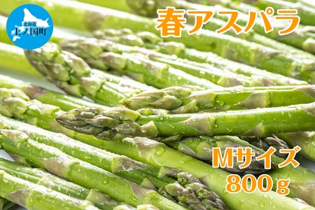 【2026年春発送】寅福菜園の朝採り春アスパラ M(800g) グリーンアスパラ 朝採れ 農家直送 新鮮 甘い 春野菜 旬野菜 特産品 北海道産