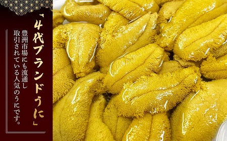 【2026年発送】まるひろ橘水産の折生うに（約250g）　雲丹　ウニ　キタムラサキウニ　人気商品　北海道産うに　北海道産