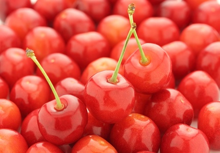 2026年発送】さとう果樹園の安心・安全「さくらんぼ（佐藤錦）」 350g