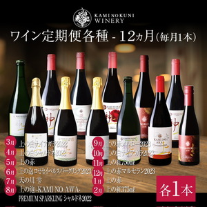 上ノ国ワイナリー「ワイン12ヶ月定期便　各種毎月1本」　北海道ワイン　ワイン　WINE　wine　定期便　赤ワイン　スパークリングワイン　お家パーティ　プレゼント　贈り物　贈答品