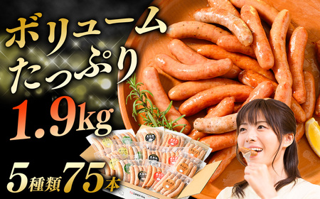 ウインナー充実セット(5種類75本 計1.9kg) | BBQ バーベキュー アウトドア キャプ 肉 豚肉 惣菜 詰め合わせ お弁当 朝食 食べ比べ 真空パック ソーセージ