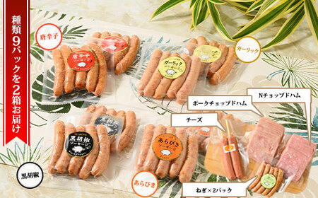 ウインナーセット（ねぎ＆チーズ）2箱セット 8種類 計2.4kg ｜ BBQ バーベキュー アウトドア キャプ 肉 豚肉 惣菜 詰め合わせ お弁当 朝食 食べ比べ 真空パック ソーセージ