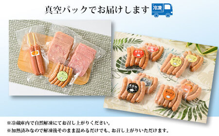 ウインナーセット（ねぎ＆チーズ）2箱セット 8種類 計2.4kg ｜ BBQ バーベキュー アウトドア キャプ 肉 豚肉 惣菜 詰め合わせ お弁当 朝食 食べ比べ 真空パック ソーセージ