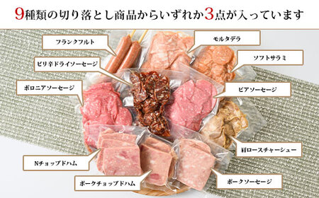 ウインナーセットBD (9種類 計約1.3kg) | BBQ バーベキュー アウトドア キャプ 肉 豚肉 惣菜 詰め合わせ お弁当 朝食 食べ比べ 真空パック ソーセージ