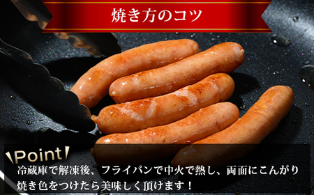 ウインナーセット(4種類 40本 計1,010g) ｜ BBQ バーベキュー アウトドア キャプ 肉 豚肉 惣菜 詰め合わせ お弁当 朝食 食べ比べ 真空パック ソーセージ