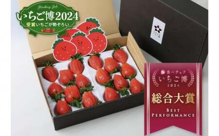 【いちご博総合大賞】やよいひめ 約800g ※2026年1月上旬~4月下旬頃に順次発送予定 ※沖縄・離島への配送不可