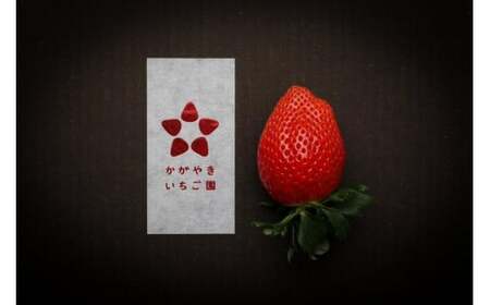 【いちご博総合大賞】やよいひめ 約800g ※2026年1月上旬~4月下旬頃に順次発送予定 ※沖縄・離島への配送不可