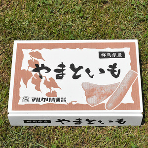 伊勢崎市産泥付きやまといも・ごぼう詰め合わせセット ※北海道・沖縄・離島への配送不可