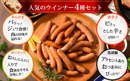 【定期便6ヶ月】ウインナー充実セット 4種類 ｜ BBQ バーベキュー アウトドア キャンプ 肉 豚肉 惣菜 詰め合わせ お弁当 朝食 食べ比べ 真空パック ソーセージ ウィンナー※2026年1月上旬頃より順次発送予定