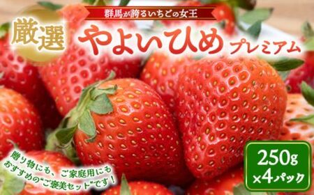 厳選 やよいひめ　プレミアム 4パック ｜ いちご 大粒 高糖度 果物 フルーツ 苺 イチゴ くだもの 新鮮 朝採れ 朝どれ ギフト プレゼント 贈り物 国産 群馬県 伊勢崎市 ※北海道・沖縄・離島への配送不可 ※2026年1月上旬～4月下旬頃に順次発送予定
