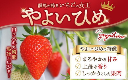 厳選 やよいひめ　プレミアム 4パック ｜ いちご 大粒 高糖度 果物 フルーツ 苺 イチゴ くだもの 新鮮 朝採れ 朝どれ ギフト プレゼント 贈り物 国産 群馬県 伊勢崎市 ※北海道・沖縄・離島への配送不可 ※2026年1月上旬～4月下旬頃に順次発送予定