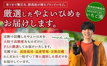 厳選 やよいひめ　プレミアム 2パック ｜ いちご 大粒 高糖度 果物 フルーツ 苺 イチゴ くだもの 新鮮 朝採れ 朝どれ ギフト プレゼント 贈り物 国産 群馬県 伊勢崎市 ※北海道・沖縄・離島への配送不可 ※2026年1月上旬～4月下旬頃に順次発送予定