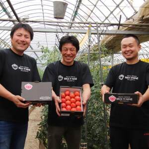 令和8年3月発送開始】糖度9度以上!赤い宝石のようなフルーツトマト