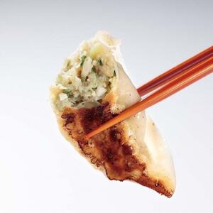 餃子の金星の自慢の味すべてを味わえる!餃子DXセット タレ付(4種・120個入)_惣菜・加工品 餃子  ぎょうざ ギョウザ_【配送不可地域：離島】【1412865】