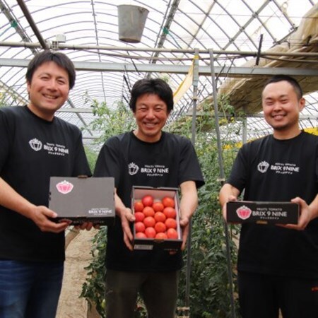 【令和8年3月発送開始】糖度9度以上!赤い宝石のようなフルーツトマト　ブリックスナイントマト4ケース_野菜  トマト _【配送不可地域：離島】【1210034】