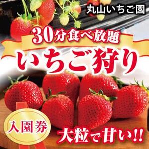 【丸山いちご園】群馬が誇る”新食甘(感)”苺「やよいひめ」いちご狩り入園券(2名様分)2025【1484420】