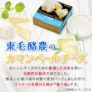 群馬県太田市　東毛カマンベールチーズ12個セット_チーズ カマンベールチーズ 乳製品 人気 おすすめ 送料無料 ギフト 贈答 プレゼント 冷蔵 東毛酪農 群馬県 セット 国産生乳_【配送不可地域：離島】【1296686】