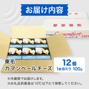 群馬県太田市　東毛カマンベールチーズ12個セット_チーズ カマンベールチーズ 乳製品 人気 おすすめ 送料無料 ギフト 贈答 プレゼント 冷蔵 東毛酪農 群馬県 セット 国産生乳_【配送不可地域：離島】【1296686】