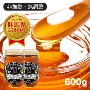 国産 おおたはちみつ 300g×2個セット_調味料 はちみつ  ハチミツ 蜂蜜_【1301544】