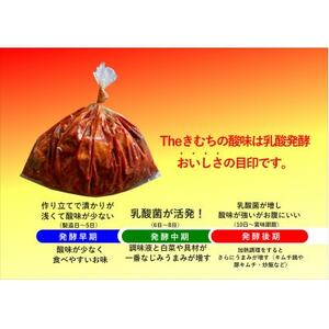 【武井のお漬物】Theきむちセット 400g×2_惣菜・加工品 キムチ 漬物 _【配送不可地域：離島】【1536857】
