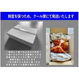 【武井のお漬物】Theきむちセット 400g×2_惣菜・加工品 キムチ 漬物 _【配送不可地域：離島】【1536857】
