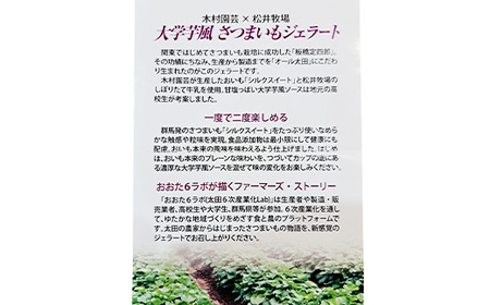 群馬県太田市産!さつまいもジェラート　80ml×6個セット_菓子・スイーツ アイス・ジェラート  _【配送不可地域：離島】【1587735】