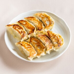 爆じゅう餃子　45個入り_惣菜・加工品 餃子  ぎょうざ ギョウザ_【配送不可地域：離島】【1209776】