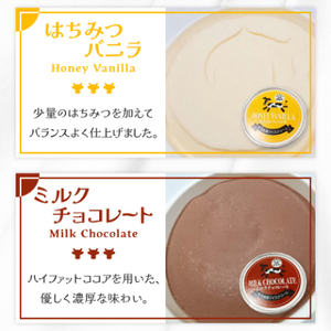 群馬県太田市　生乳仕立てアイスクリーム 8個セット_アイスクリーム 生乳 セット スイーツ おやつ デザート 東毛酪農 バニラ チョコ 抹茶 人気 おすすめ 送料無料 贈答 ギフト プレゼント_【配送不可地域：離島】【1223044】