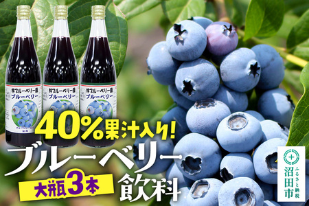 40％果汁入り ブルーベリー飲料 720ml×3本セット