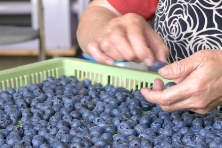 40％果汁入り ブルーベリー飲料 720ml×3本セット
