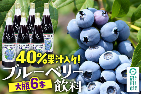 40％果汁入り ブルーベリー飲料 720ml×6本セット