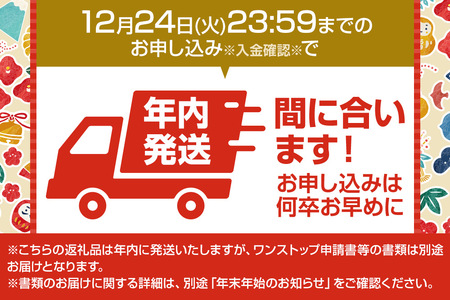 《12月24日まで年内発送間に合う》PJ-206A1 プラジェット・ハンディタイプ（標準型）株式会社石崎電機製作所