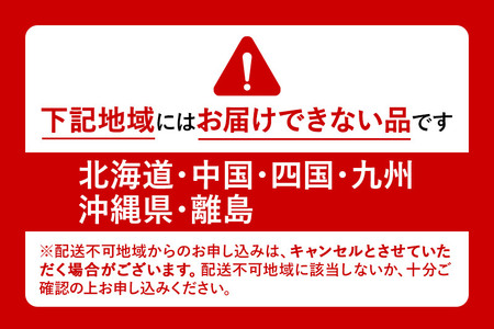 《2026年6月下旬～7月中旬発送》果実の里 原田農園 さくらんぼ（佐藤錦）約300g